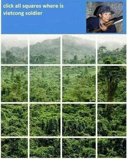 vietcong captcha .jpg