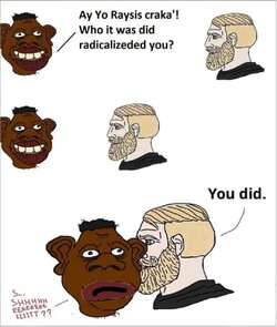 sheeit-who-radicalized-you.jpg