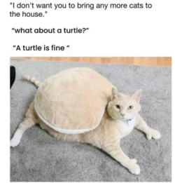 1730722391448.png