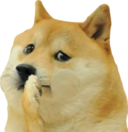 doge-nauseous.png