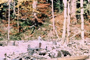 rekieta_bigfoot.jpg