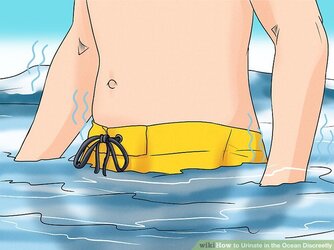 aid613547-v4-728px-Urinate-in-the-Ocean-Discreetly-Step-10-Version-5.jpg