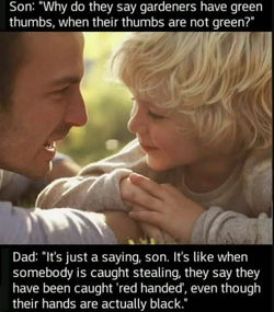 943825.png