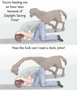 ea1cz243qryd1.png