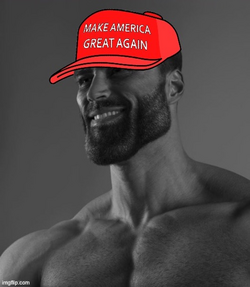 1730742089316.png