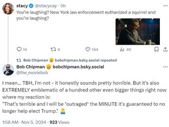 squirrel.jpg