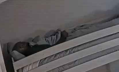a7435423b9e1a534a6c77476c2fd3c5f.gif