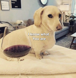 1730767103464.png