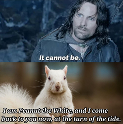 1000009122.png