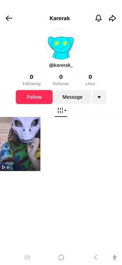 Screenshot_20241104_235320_TikTok.jpg