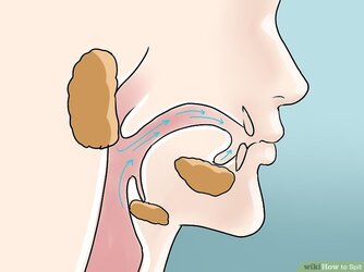 aid988455-v4-728px-Spit-Step-5.jpg
