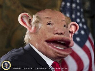1521741259804.jpg