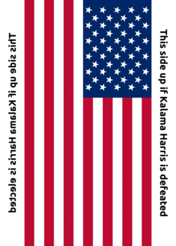 US Flag 2024.png