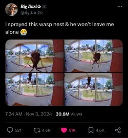 1000140406.jpg