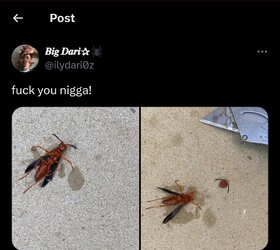 1000140408.jpg