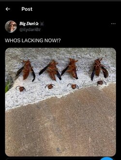 1000140410.jpg
