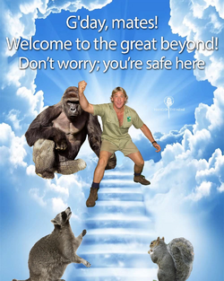 1730843277247.png