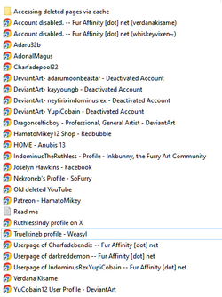 2023-10-22 17_28_20-Joselyn's accounts on various sites.png