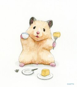 This-adorable-hamster-lives-a-human-existence-New-Pics-60828718a4056__880.jpg