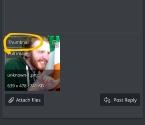 Screenshot_20241105-235924~2.png