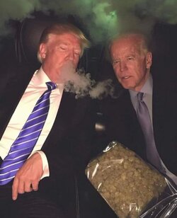 20241105_171627.jpg