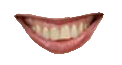 IMG_0681.png