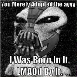 LMAOd.jpg