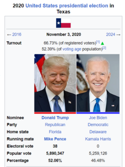 2020 Election Texas.png