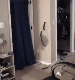 bossmanjack-door-curtain.gif