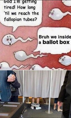 Ballot box.jpg