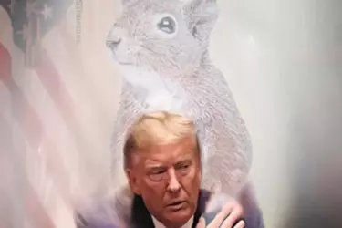 PNutMeme.webp