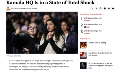 Screenshot 2024-11-06 at 00-52-50 Kamala HQ Is in a State of Total Shock.png