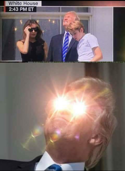 1730875804917.png