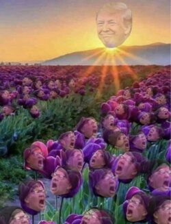 GH1tjLfWgAEwZ1D.jpeg