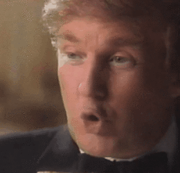 most triggering trump holy shit.gif