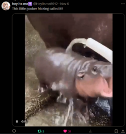 1730875794340.png