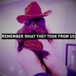 petsquirrel.png