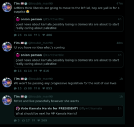 Screenshot 2024-11-06 at 04-03-50 Tim 🇺🇸 (@trouble_man90) nitter.poast.org.png