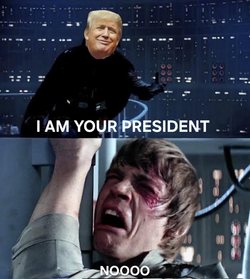 1730887950396.png