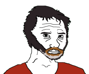1730888144752.png