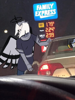 1730881086590506.jpg