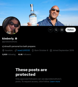 Screenshot 2024-11-06 at 15-23-26 kimberly. (@problemsthots) _ X.png