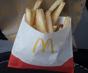 20241106_131140.jpg