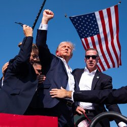Trump-shot-AP24195851874181 (1).jpg