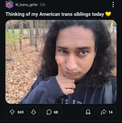 transss.jpg