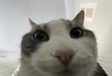 1730935723388.png