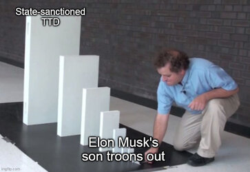 State-sanctioned TTD Elon Musk.jpg