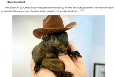 1730953857795.png