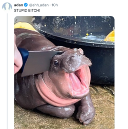 24c40da83049010f8fb7a7a9d0d099e659c7ac60be192e1a902d643a68aebc41.png