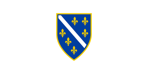 image_2024-11-07_091335119.png